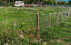 Teren 500mp vand urgent - 2