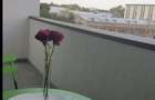 Tineretului carol city liber septembrie - 2