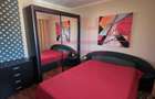 Inchiriere apartament renovat 2 camere parcare Plopilor parcul Babes - 12