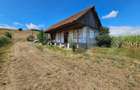 Casa de vanzare in Unirea, cu teren de 2.901 mp - 3