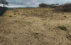 Teren de vanzare 2686mp, acces asfaltat - 3