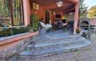 Vanzare Vila langa padure/ Iancu Nicolae - 5