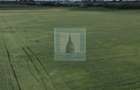 Teren intravilan 50000 mp, cu PUZ, Aprobat - zona Halchiu... - 15