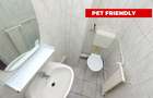INCHIRIERE APARTAMENT 3 CAMERE UNIRII – CORNELIU COPOSU - PET FRIENDLY - 21
