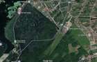 Teren de 500 mp, la marginea Padurii Snagov ?an?u-Flore?ti, Ilfov