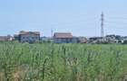 OCAZIE! EFORIE NORD, TEREN DE 1.666 MP,  PRET 125 000 EURO - 2