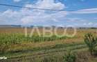 Oportunitate investitie Comision 0% 28000 mp in Sura Mica Sibiu