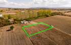 RECO Teren intravilan Tileagd 577 MP