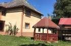 Casa spatioasa cu 4 camere, orasul Campeni - 4