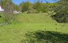 Teren Intravilan Munte - 1801mp - 1