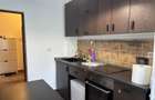 Închiriere Apartament 2 camere Kogalniceanu - 9