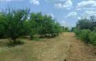 6 parcele intravilane de 485 mp in Mihai Voda, Bolintin Deal, 650 metri de Primaria Bolintin-Deal - 7