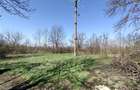 Rachitova, Casa 8 Incaperi, 3800mp Teren, Usor Negociabil - 7