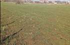 2500m in Ghermanesti IF - 2