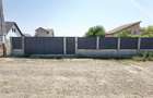 Teren 1000 m2 intravilan Odaia Manolache - 6