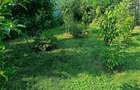 Vand casa locuibila in orice moment - 5