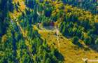 Teren intravilan | Timisul De jos | Canionul 7 Scari | Oportunitate! - Timisu de Jos (Brasov)