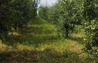 Vand teren 5128 m statiunea Lacu sarat braila - 9