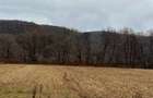Teren extravilan arabil Baia de Cris, Hunedoara - 3070972 - 2