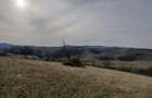 De vanzare,Tomnatic Bihor - 4