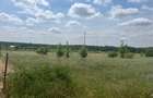Vand teren intravilan Branesti 1036 mp direct proprietar - 4