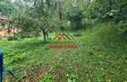 Casa in Campina--59.000 e - 15