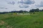 Teren extravilan Pitesti - str. Balotesi!! - Pitesti (Arges) - 8
