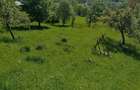 Vand casa ?i teren in Valea Doftanei. - 3
