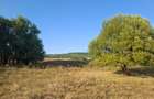 Teren de 1000 mp, în Bârnova - 5