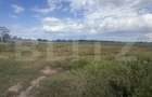 Teren intravilan, 1.000 mp, zona Priseaca - 2
