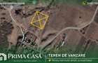 Teren in Focsanei Vadu Pasii S=7080mp - 2