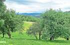 Teren de 1000mp in Bran, satul pitoresc Pestera - 14