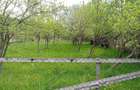 Vand teren intravilan - 3
