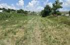 Teren intravilan, 1477mp , Loc. Balusenii Noi - Botosani - 1