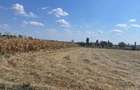 Teren intravilan Cersani, 5 km distanta de Bradu 10 euro mo