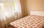 Ultracentral-Medicina, UVT| 2 camere| recent renovat| centrala proprie| clima| - 9