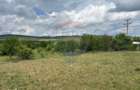 Teren de vanzare 13783mp, front la DN, parcela unica zona de vest - 6