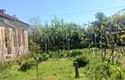 Casa de vanzare Comuna Viisoara-Judetul Teleorman - 17