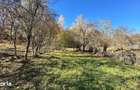 Teren 4044 mp, deschidere 60m, la 18 km de Campina, asfalt si curent - 5