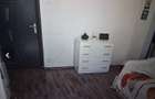 apartament 2 camere teiul doamnei