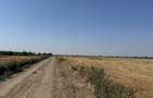 Teren 10.000 mp - Dragomiresti Vale, Ilfov - 3