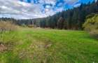 Oportunitate Unica de Investi?ie Domeniu de 2,1 Ha in Bucovina (Suceava) - 5