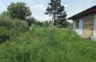 Casa de vanzare, sat horlesti com. Rediu - 5