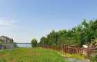 Ocazie - vanzare teren cu deschidere directa la lac - Cernica - 3