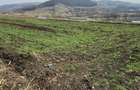 Vand teren intravilan cu suprafa?a de 2000 m