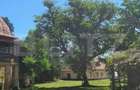 De vanzare conac boieresc, anul 1880, 3 ha teren, 1200 mp co - 1
