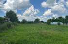 Teren intravilan Halchiu, str. Feldioarei 1600 mp - 3