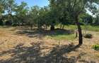 Casă cu Teren 2000 Mp în Văcăreasca - 3