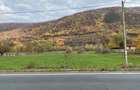 Teren intravilan Baile Herculane- Mehadia la E70 - 1
