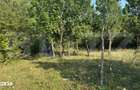 Teren extravilan, de vanzare, 1.500 mp, zona Valea Ghinzii-strada Palt - 3